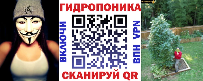 Бошки Шишки планчик  Купить где  Уяр 